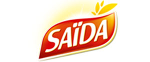 Saida-logo